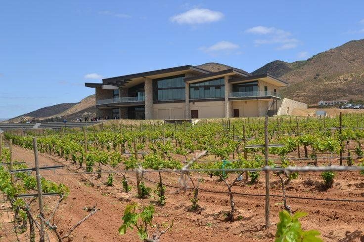 Valle de Guadalupe winery and wine country experience in Baja California Mexico