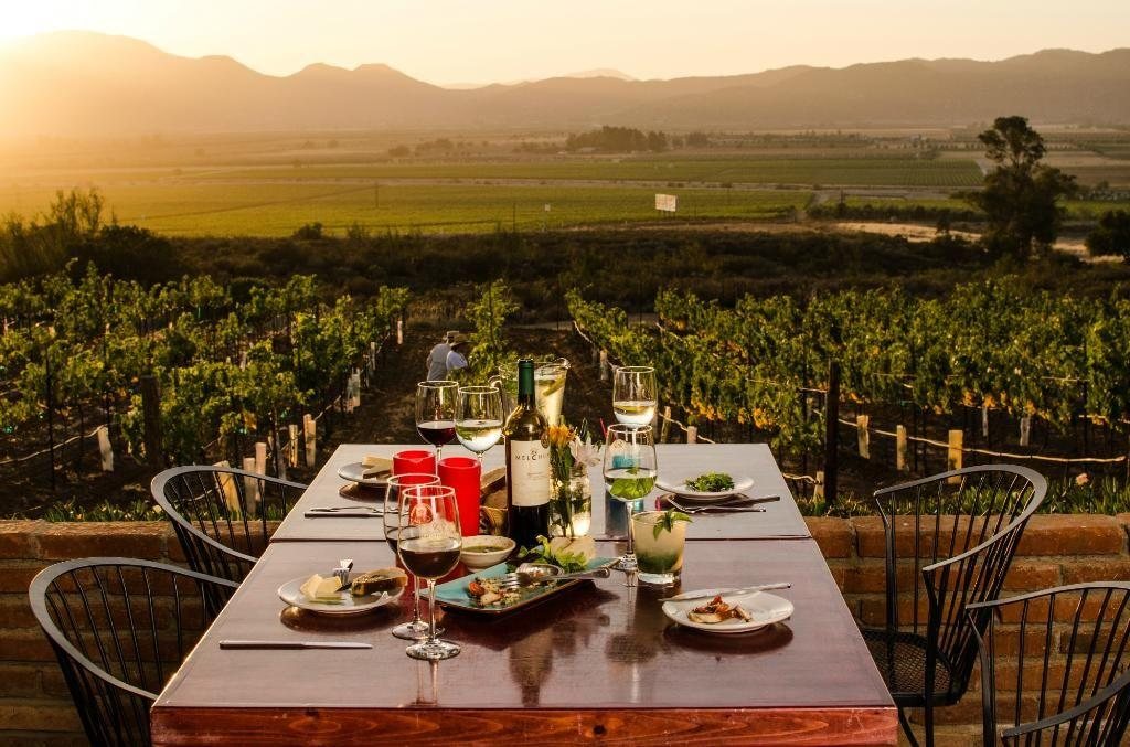 Vineyard dining and winery lifestyle in Valle de Guadalupe Baja California